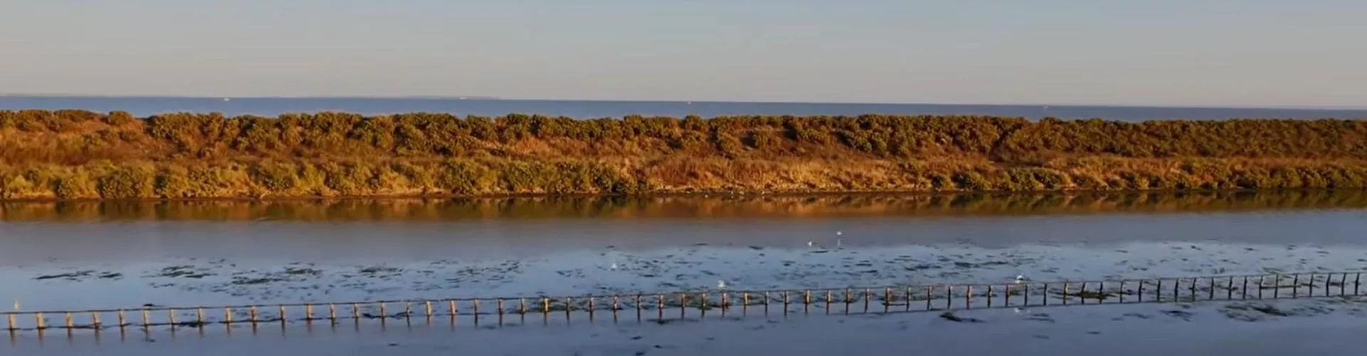 Vidéo France Naissain Vidéo France Naissain